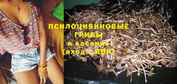 каннабис Медногорск