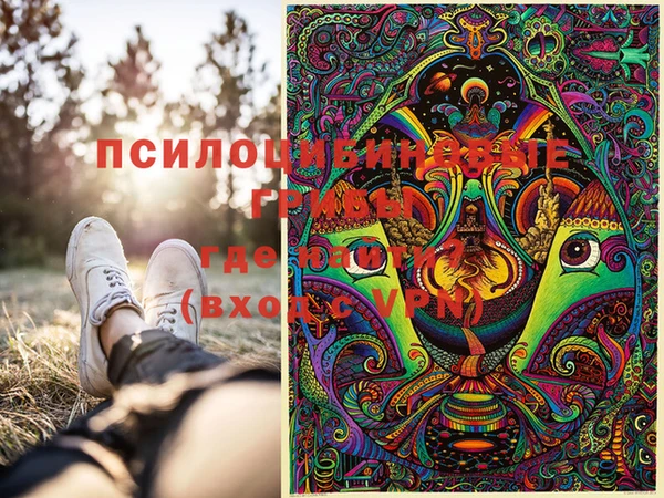 мескалин Медвежьегорск
