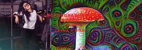 мескалин Медвежьегорск