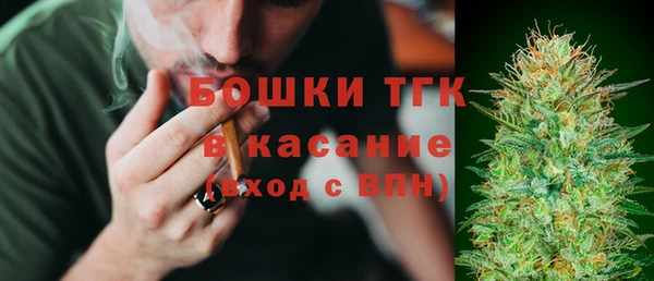 гашик Мегион