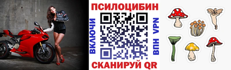 магазин продажи наркотиков  Нижние Серги  Галлюциногенные грибы Magic Shrooms 